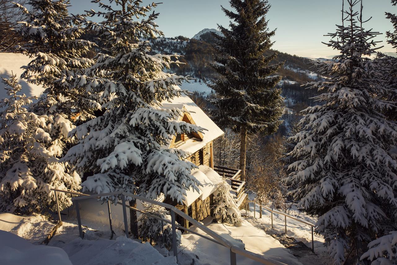 Kostovac Boutique Homes - House 1 科帕奥尼克 外观 照片